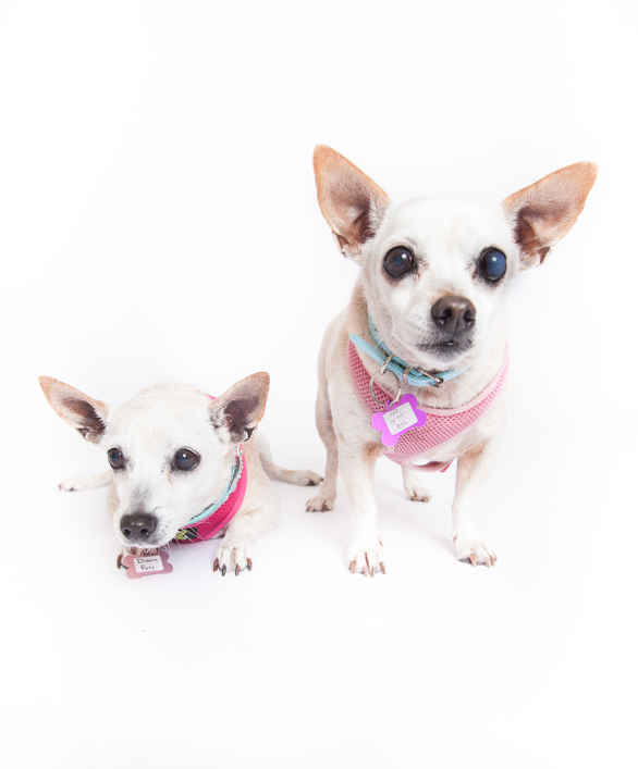 June Carter Cash & Diana Ross