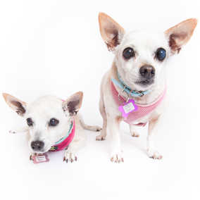 June Carter Cash & Diana Ross