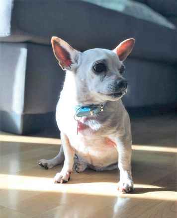 June Carter Cash & Diana Ross