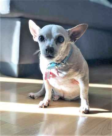 June Carter Cash & Diana Ross