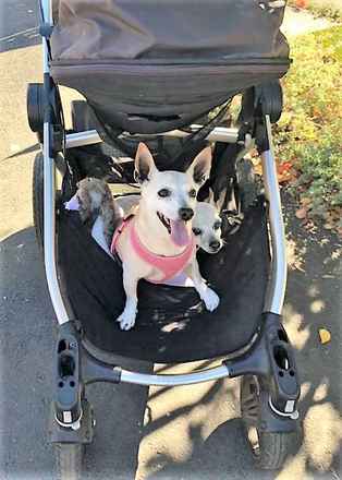 June Carter Cash & Diana Ross