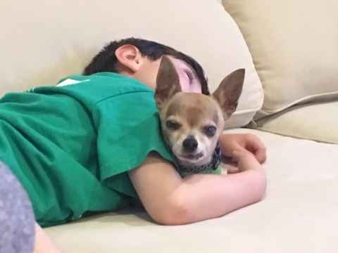 The Fantastic Mr. Fox