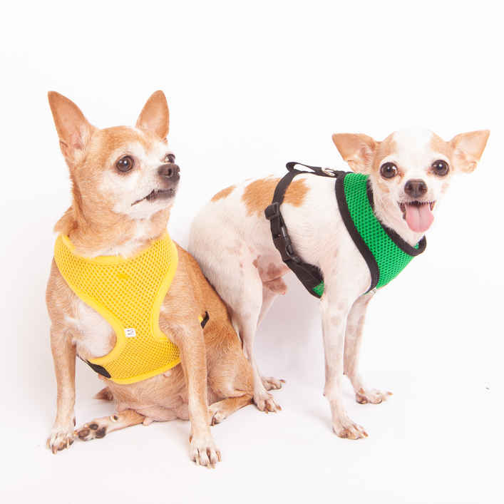 Peanut Butter & Jelly