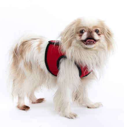 Rick Flare & Claudia Schiffer