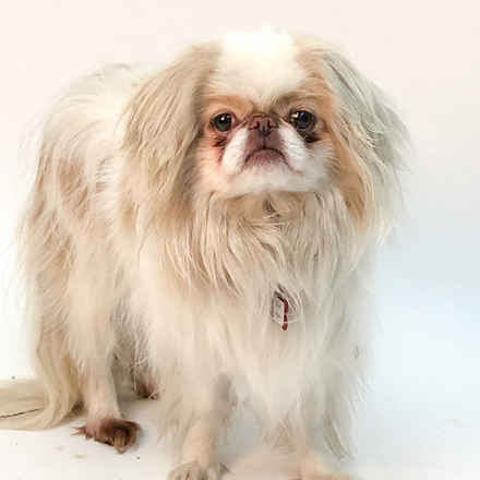 Rick Flare & Claudia Schiffer