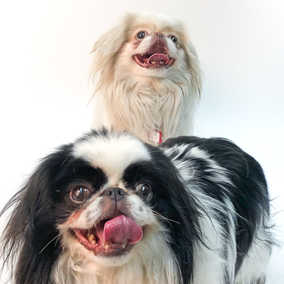 Rick Flare & Claudia Schiffer