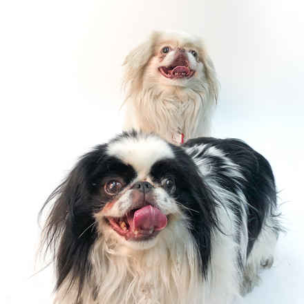 Rick Flare & Claudia Schiffer