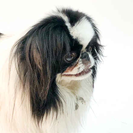 Rick Flare & Claudia Schiffer