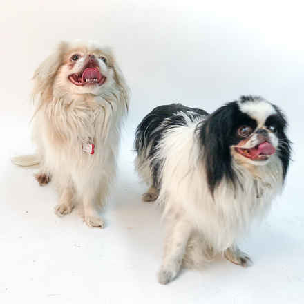 Rick Flare & Claudia Schiffer