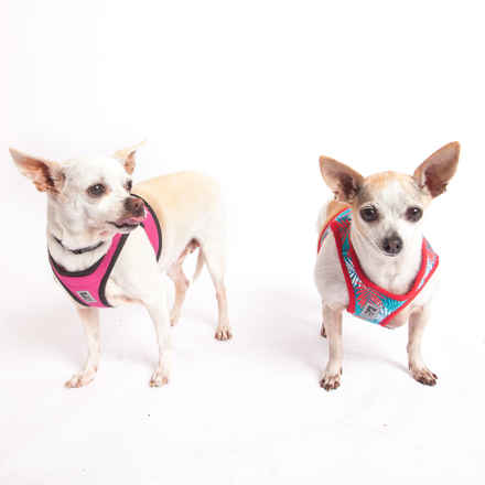 Pepperoncini & Mirasol