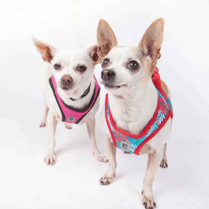 Pepperoncini & Mirasol