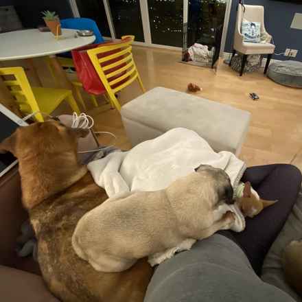 Nella Bella Puddin Pie