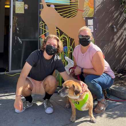 Nella Bella Puddin Pie