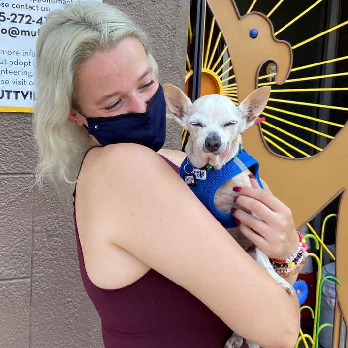 Parmesan (decseased)