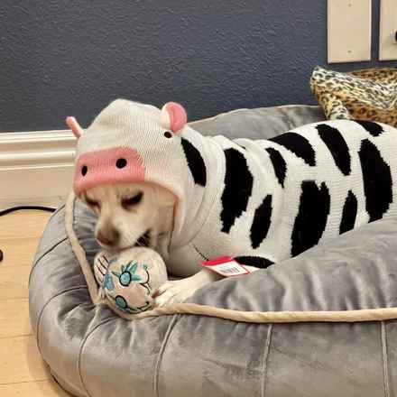 Billie Girl & Cowboy