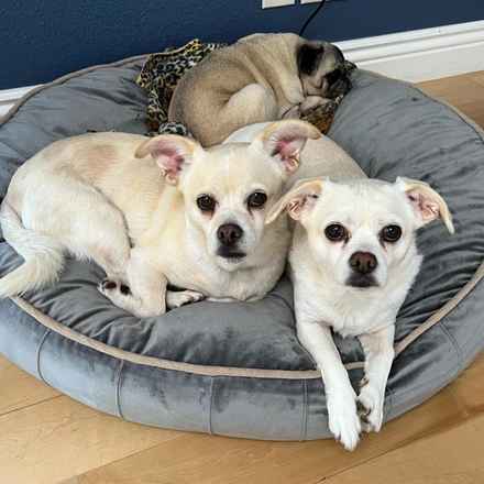 Billie Girl & Cowboy