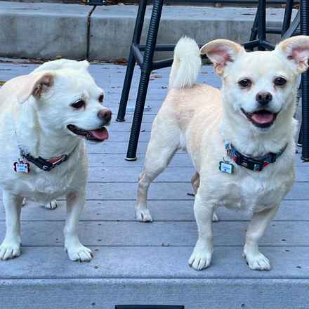 Billie Girl & Cowboy