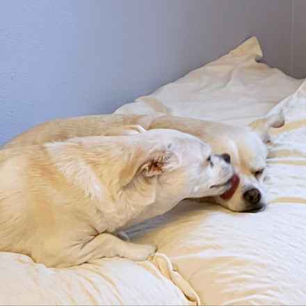 Billie Girl & Cowboy