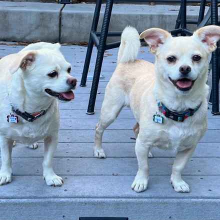 Billie Girl & Cowboy