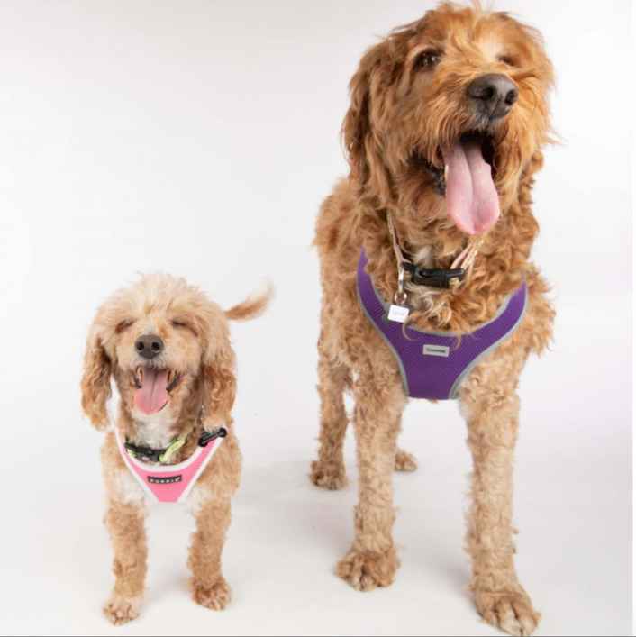 Bella Banana & Leelee