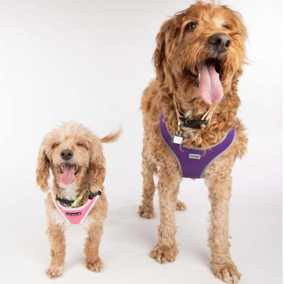 Bella Banana & Leelee