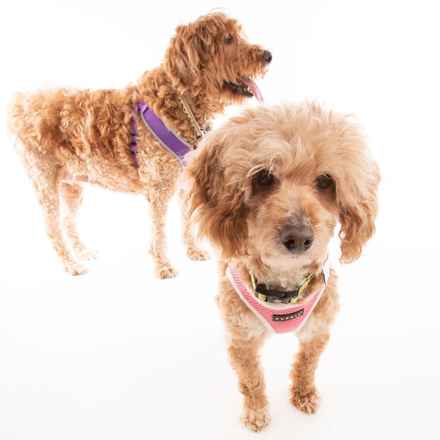 Bella Banana & Leelee