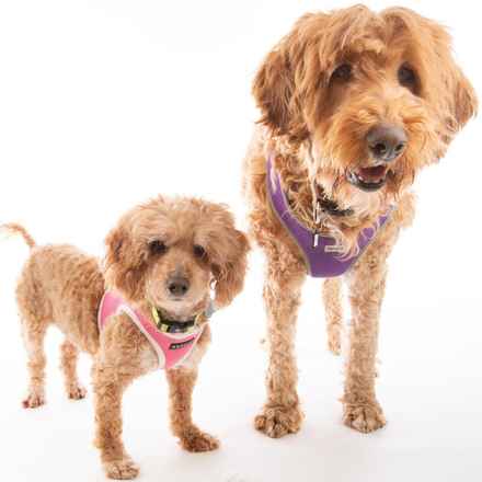 Bella Banana & Leelee