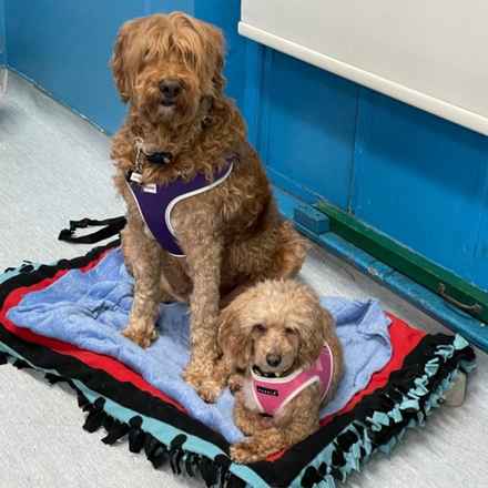 Bella Banana & Leelee