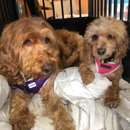 Bella Banana & Leelee