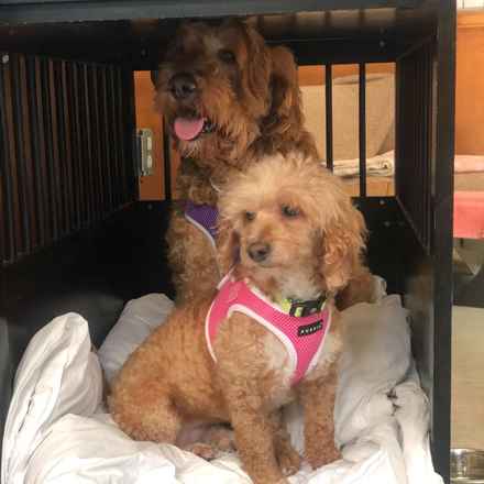 Bella Banana & Leelee