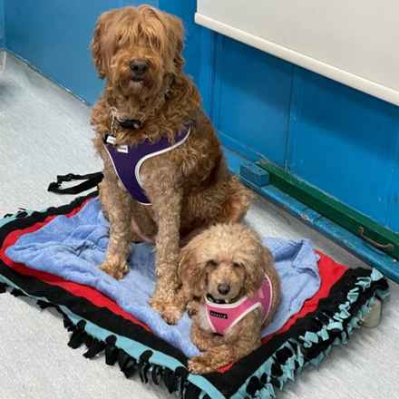 Bella Banana & Leelee