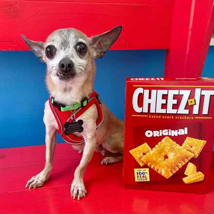 Cheez-it