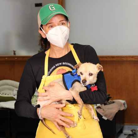 Pinto (renamed Beanie)