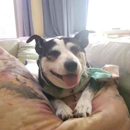 Pancake & Butterscotch