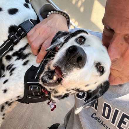 The Earl of Spottington