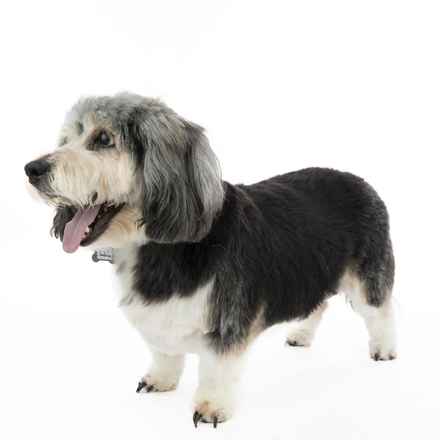 Deep Dish & Jambalaya