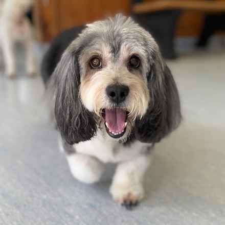 Deep Dish & Jambalaya