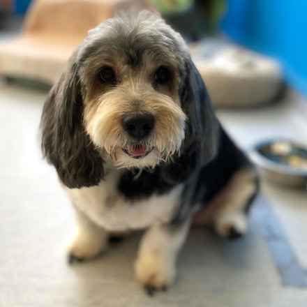 Deep Dish & Jambalaya