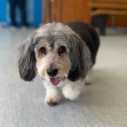 Deep Dish & Jambalaya