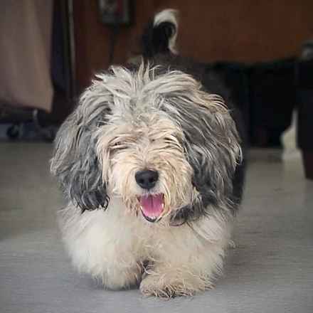 Deep Dish & Jambalaya