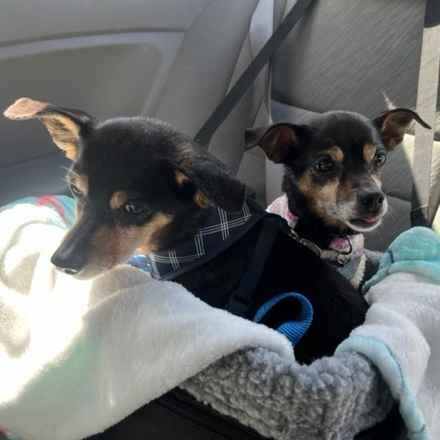 Polly Pocket & Selma Lou