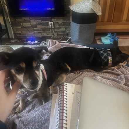 Polly Pocket & Selma Lou