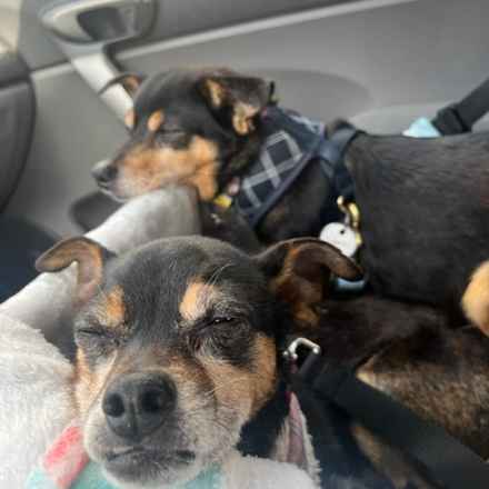 Polly Pocket & Selma Lou