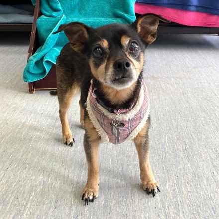 Polly Pocket & Selma Lou