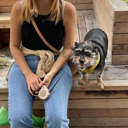 Fruity Pebbles (Tessa)