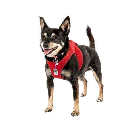 Hootenanny & Stagecoach Mary