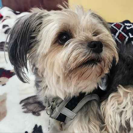 Kerpuffle & Vacation