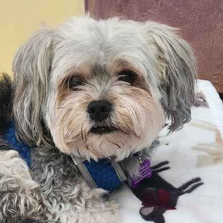 Kerpuffle & Vacation