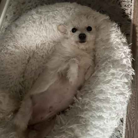 Izzy & Sally O'Malley