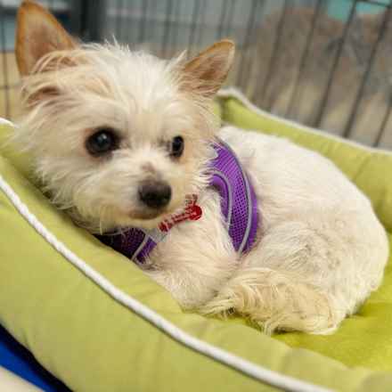 Izzy & Sally O'Malley